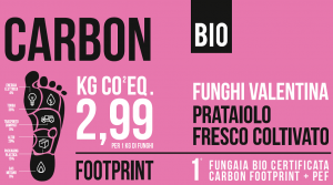 carbon foot